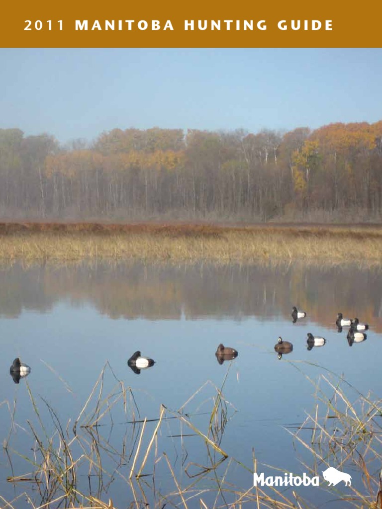2011 Manitoba Moose Hunting Guide | PDF | Hunting | Animals And Humans