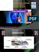 Criptorquidia Urología