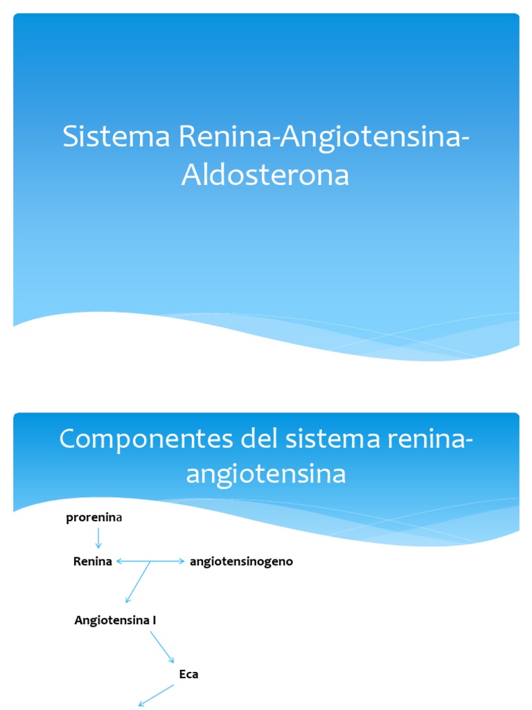 Sistema Renina Angiotensina Aldosterona PDF