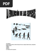 1 Baha g5 Evolucion Soriano