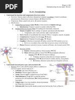 Download In-Class Quiz Review - Neurophysiology by Waqas Gill SN167209302 doc pdf