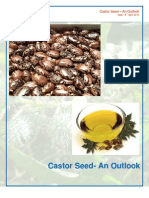 2313 Castor Seed Outlook 2013 04 08