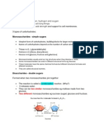 Carbohydrates: Monosaccharides - Simple Sugars