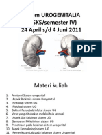 Kuliah Pendahuluan Urogenitalia 2011 (Dr.slamet)