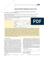 Free Radical Scavenging by Natural Polyphenols: Atom Versus Electron Transfer