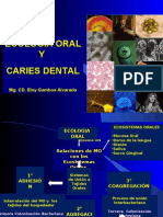 Ecología Oral y Caries Dental