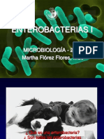 6729755-Enterobacterias
