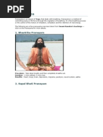 Download Tha Life-Pranayama by Rahul Suresh Jinde SN16725 doc pdf