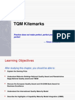 TQM Kitemarks: Practice Does Not Make Perfect, Perfect Practice Makes Perfect