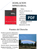 1 Fuentes de Der y Empresa.2013