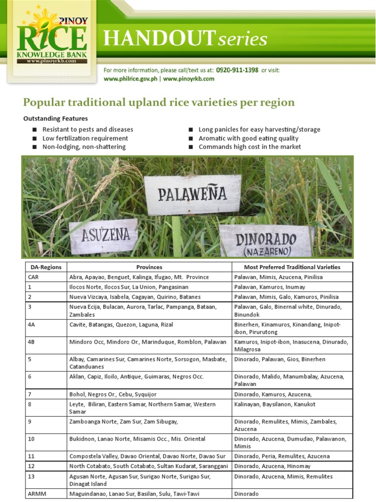 Traditional Upland Rice Varieties in PH | PDF | Cooking, Food & Wine ...