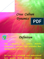 Cross Culture Dynamics
