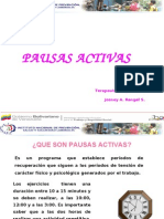 pAUSAS aCTIVAS INPSASEL 19.10.2011