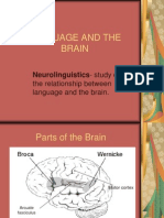 Topic 9 - Language and the Brain