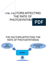 The Factors Affecting The Rate of Photosynthesis