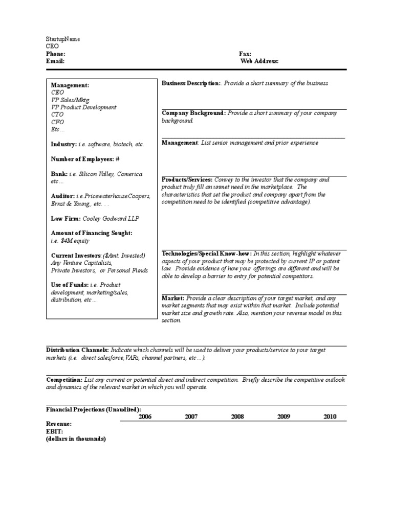 Business Plan Executive Summary | PDF | Investor | Competition