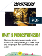 Photosynthesis