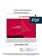 30350157 Primavera P6 Curso Basico Espanol