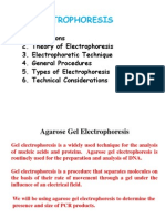 95116309 Electrophoresis