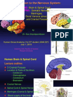 Introduction To Nervous System