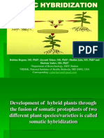 Somatic Hybrization