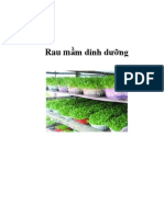 Rau mầm dinh dưỡng