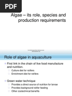 LF 2 Algae Its Role Species and Production Requirements
