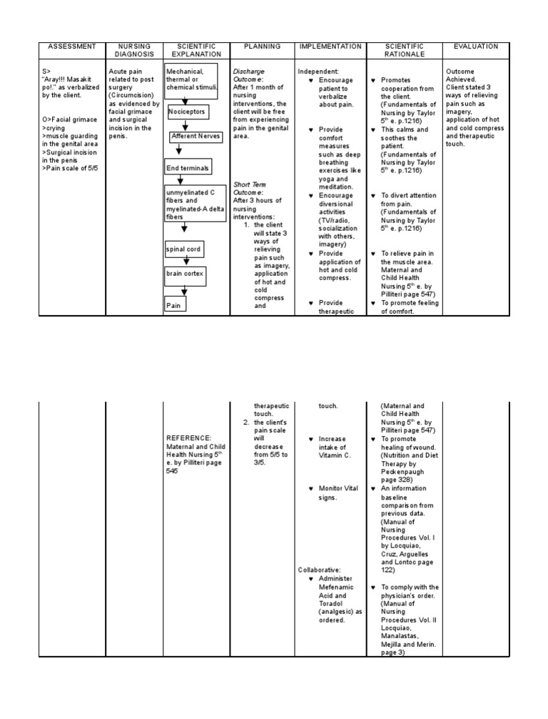 Acute Pain Ncp Pain Nervous System