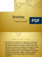 briofitas