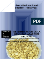 Practica N°1-Determinacion de la densidad aparente del maiz