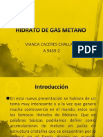 Hidrato de Gas Metano Exposicion