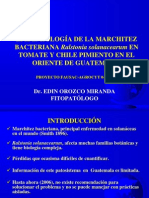 epidemiología marchitez-bacteriana-2006