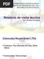 Relatório de visita técnica