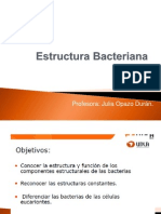Clase 3 Estructura Bacteriana Parte 1 2013 Julia