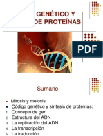 4.2 Código genético y síntesis de proteínas PRISCILA