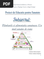 Proiect Anatomie