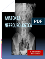 Anatomia Nefrourologica.2003