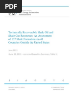 2013 IAE ShaleOilandGas Resources.pdf