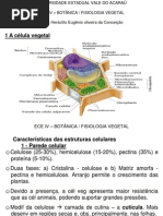 Aula Bot Fisiologia Vegetal