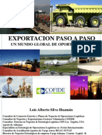 Exportacion Paso a Paso Luis Silva 1