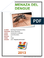 La Amenaza Del Dengue