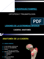 Anatomia de Cadera y FX Generalidades de Fracturas Cadera PDF