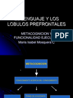 Evaluacion Del Lenguaje y Habilidades Adaptativas