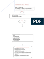 Insuficiencia Renal Cronica Mapa