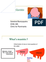 Bovine Mastitis: Sukolrat Boonyayatra DVM, Ms Clinic For Ruminants