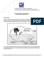 Nitratos y Nitrosaminas