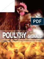 Poultry Signals 家禽的信号