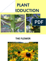 10 - Plant Reproduction