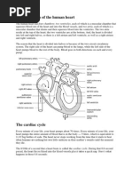 Code Blue Simulation Guide | PDF | Cardiopulmonary Resuscitation | Therapy