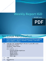 Weekly Report IGD 260713